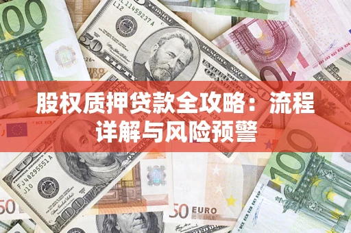 北京股权质押贷款全攻略：流程详解与风险预警