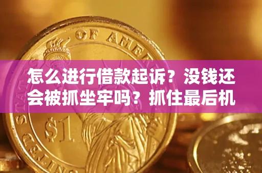 北京怎么进行借款起诉？没钱还会被抓坐牢吗？抓住最后机会！