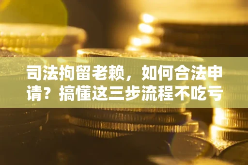 北京司法拘留老赖，如何合法申请？搞懂这三步流程不吃亏！