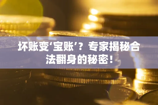 北京坏账变‘宝账’？专家揭秘合法翻身的秘密！