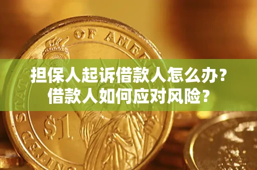 北京担保人起诉借款人怎么办？借款人如何应对风险？