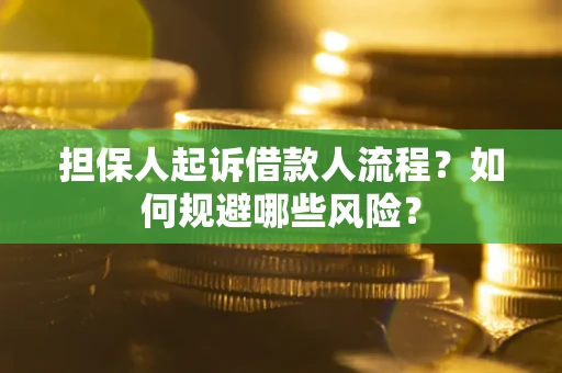北京担保人起诉借款人流程？如何规避哪些风险？