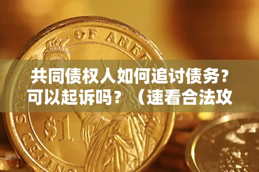 北京共同债权人如何追讨债务？可以起诉吗？（速看合法攻略）