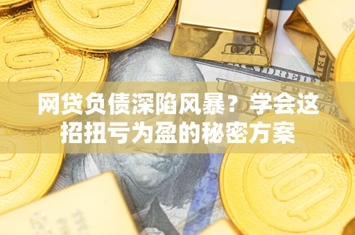 北京网贷负债深陷风暴？学会这招扭亏为盈的秘密方案