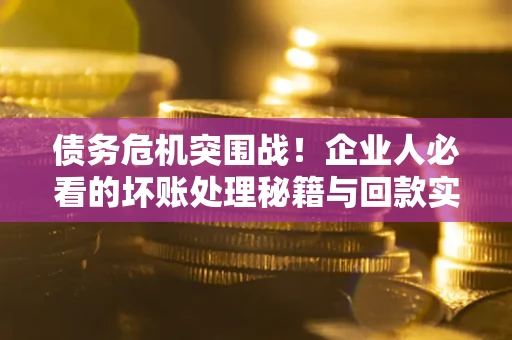 北京债务危机突围战！企业人必看的坏账处理秘籍与回款实战指南